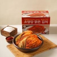 (강원)강원도 김치 소양강 맑은 김치 포기김치..