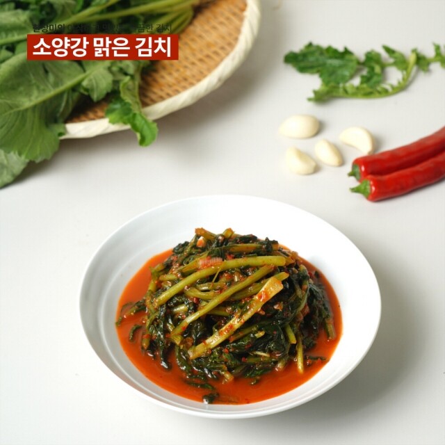 윤서식품,강원도 김치 소양강 맑은 김치 열무김치 500g,3kg,5kg,10kg