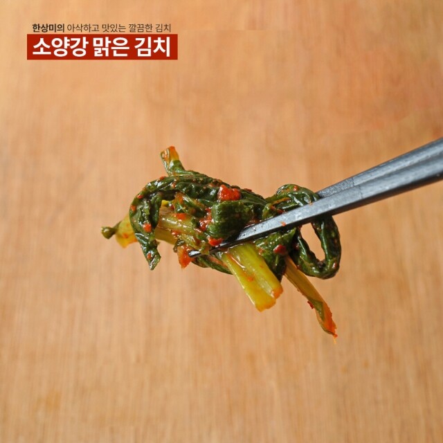 윤서식품,[원더구독] 강원도 김치 소양강 맑은 김치 열무김치 500g,3kg,5kg,10kg